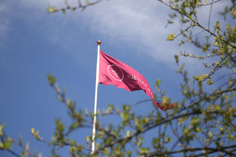 Vimpel i hagen mot blå himmel